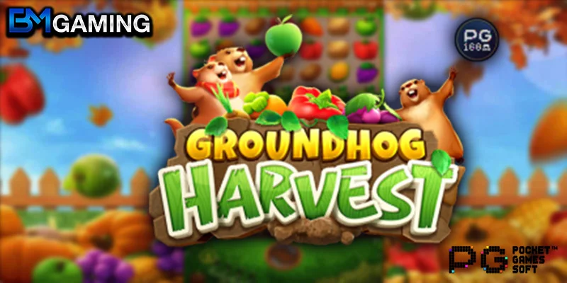 Groundhog harvest