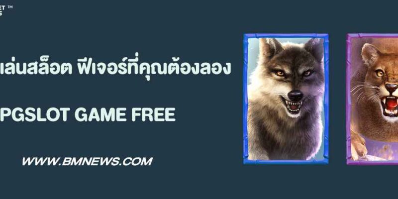 ทดลองเล่นสล็อต ฟีเจอร์เด็ดที่คุณต้องลอง