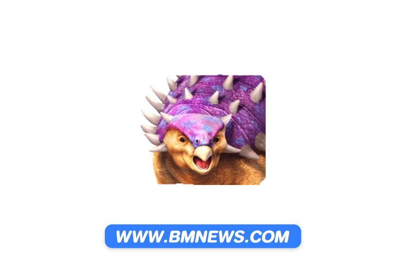 ภาคเล็กเว็ลBM-all365-ไม่มีข้อความ