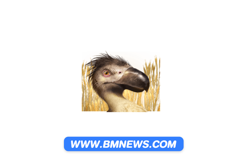 ภาคเล็กเว็ลBM-all365-ไม่มีข้อความ