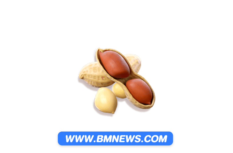 UFABET888