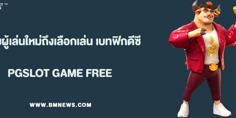 ทำไมผู้เล่นมือใหม่ถึงเลือกเล่นกับ เบทฟิกดีซี