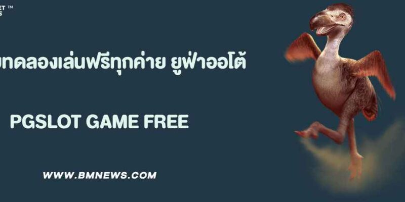 ระบบทดลองเล่นฟรีทุกค่ายจาก ยูฟ่าออโต้888