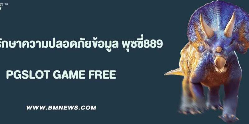 ระบบรักษาความปลอดภัยของข้อมูลใน พุซซี่889