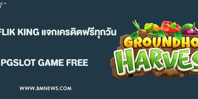 เครดิตฟรี BETFLIK KING แจกทุกวัน