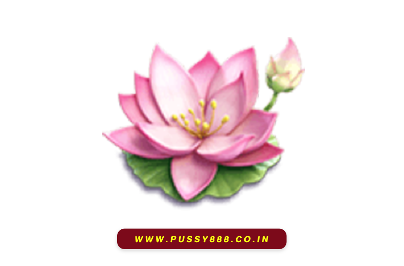 pussy 888slot