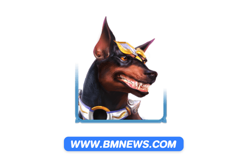 พุชชี่888