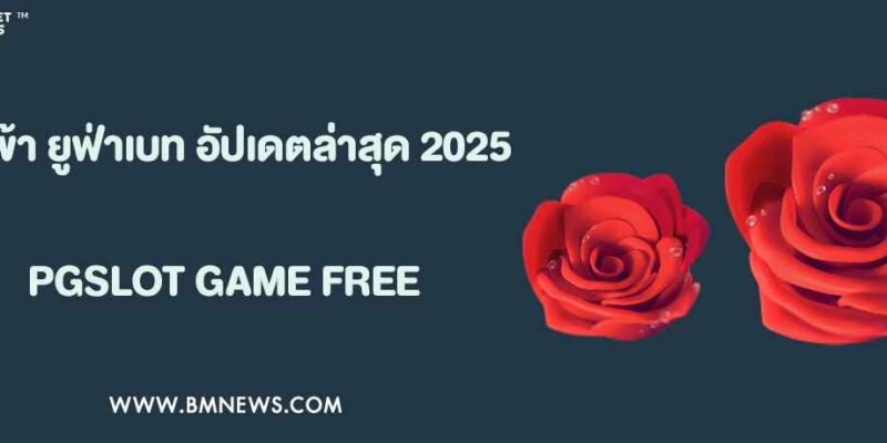 ทางเข้า ยูฟ่าเบท ล่าสุด 2025