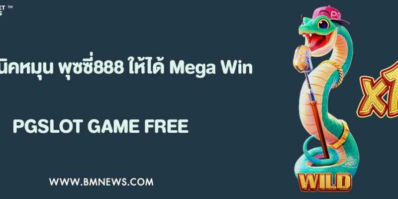 เทคนิคหมุน พุซซี่888 สล็อต PG ยังไงให้ได้ Mega Win ภายใน 10 นาที
